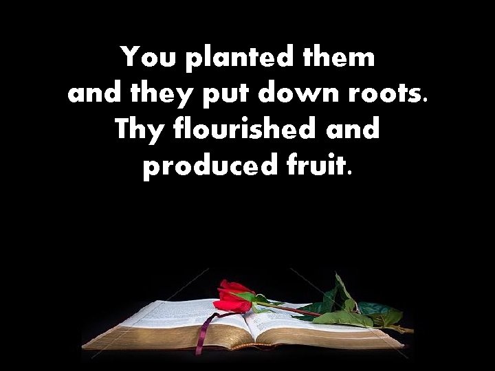You planted them and they put down roots. Thy flourished and produced fruit. 