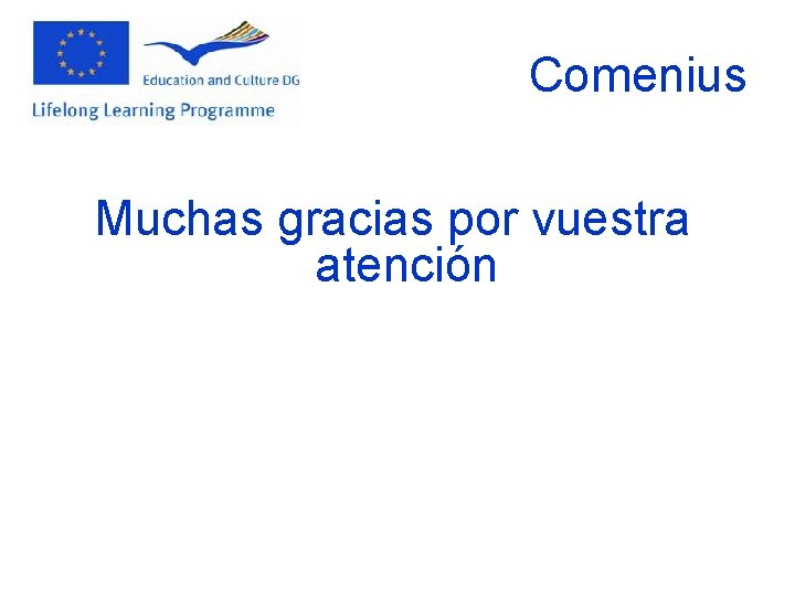 Comenius Muchas gracias por vuestra atención 