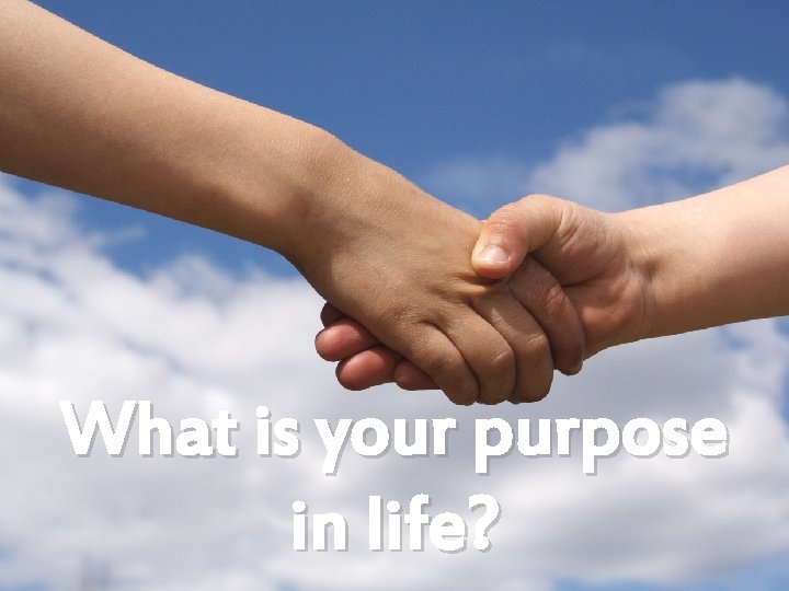 What is your purpose in life? 