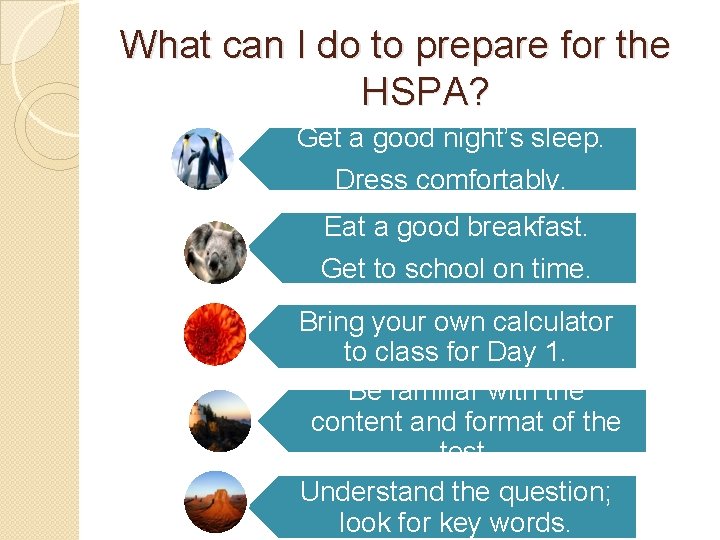 What can I do to prepare for the HSPA? Get a good night’s sleep.