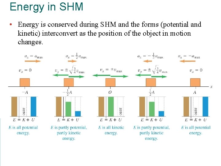 Energy in SHM • Energy is conserved during SHM and the forms (potential and