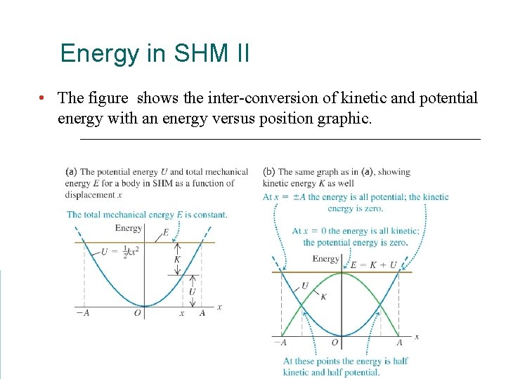 Energy in SHM II • The figure shows the inter-conversion of kinetic and potential