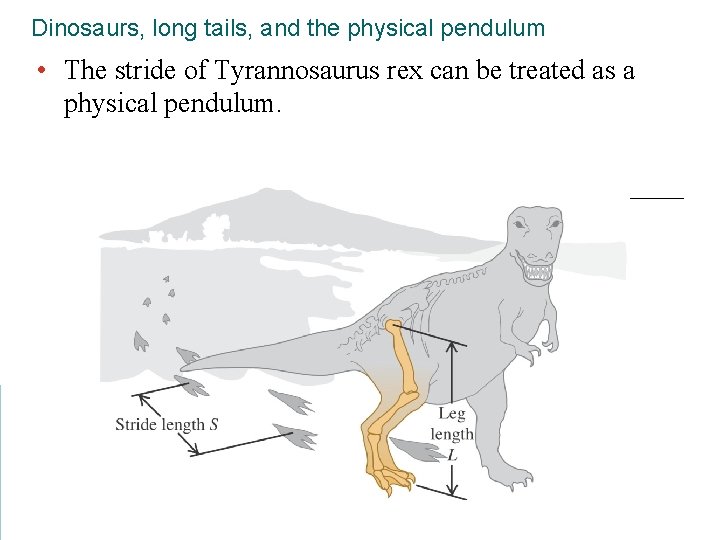 Dinosaurs, long tails, and the physical pendulum • The stride of Tyrannosaurus rex can