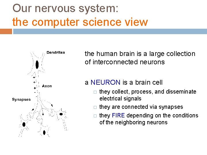 Our nervous system: the computer science view the human brain is a large collection