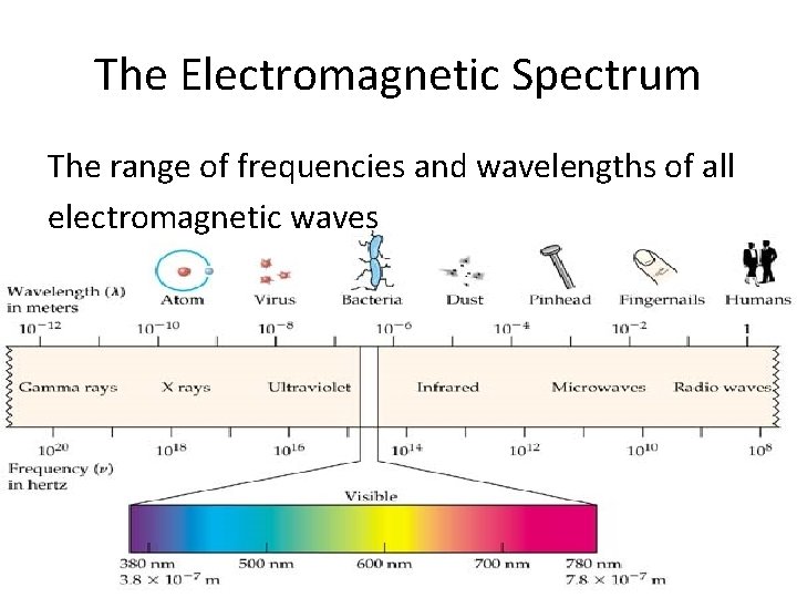 The Electromagnetic Spectrum The range of frequencies and wavelengths of all electromagnetic waves 