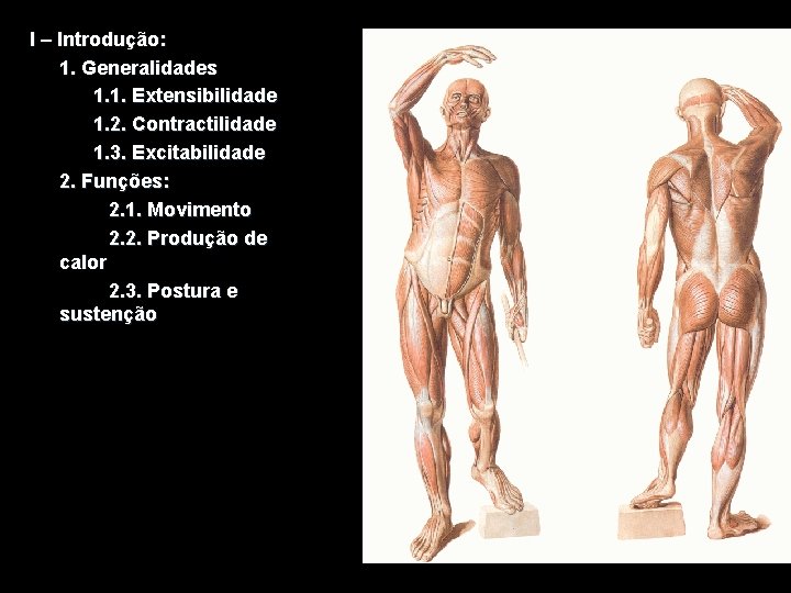 I – Introdução: 1. Generalidades 1. 1. Extensibilidade 1. 2. Contractilidade 1. 3. Excitabilidade