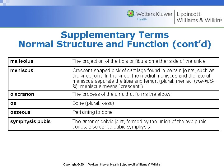 Supplementary Terms Normal Structure and Function (cont’d) malleolus The projection of the tibia or