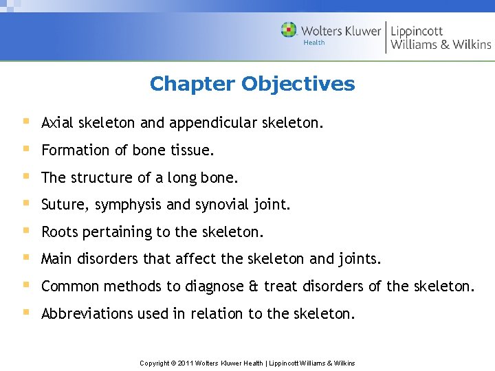 Chapter Objectives § § § § Axial skeleton and appendicular skeleton. Formation of bone