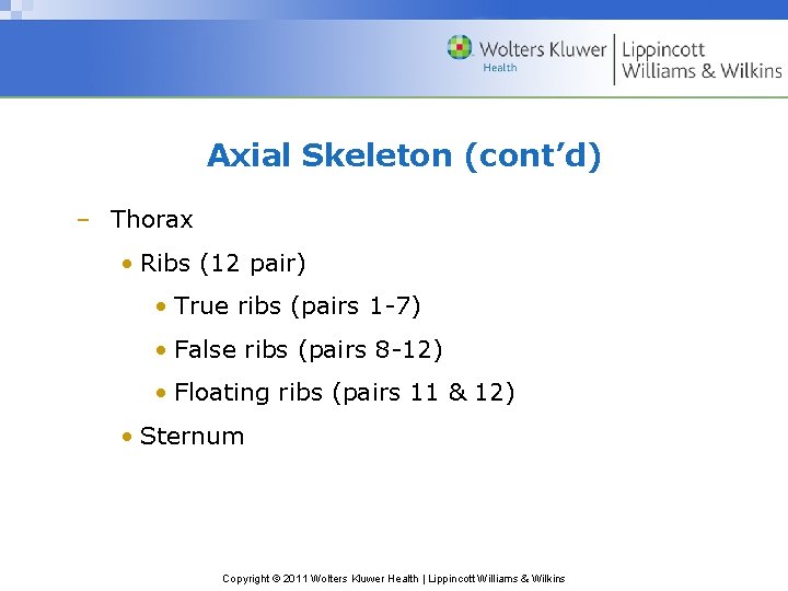 Axial Skeleton (cont’d) – Thorax • Ribs (12 pair) • True ribs (pairs 1