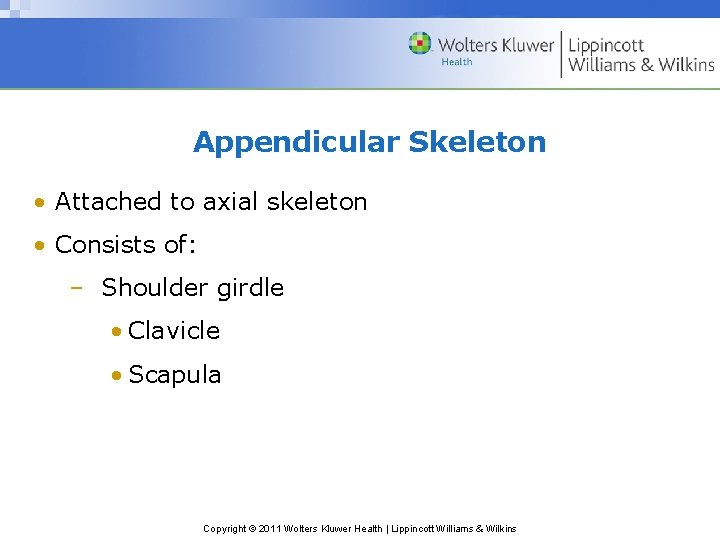 Appendicular Skeleton • Attached to axial skeleton • Consists of: – Shoulder girdle •