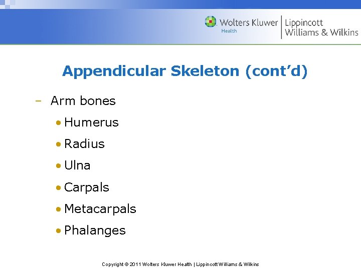 Appendicular Skeleton (cont’d) – Arm bones • Humerus • Radius • Ulna • Carpals