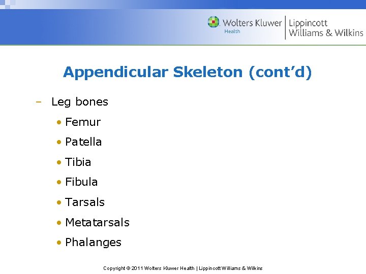 Appendicular Skeleton (cont’d) – Leg bones • Femur • Patella • Tibia • Fibula