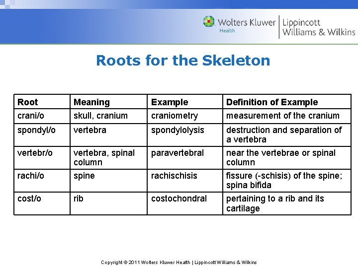 Roots for the Skeleton Root crani/o Meaning skull, cranium Example craniometry Definition of Example