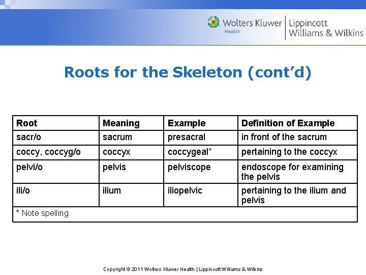 Roots for the Skeleton (cont’d) Root sacr/o Meaning sacrum Example presacral Definition of Example