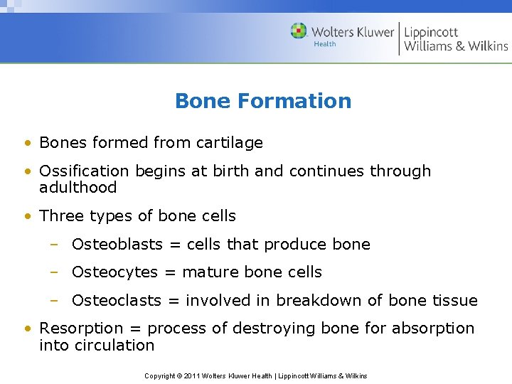 Bone Formation • Bones formed from cartilage • Ossification begins at birth and continues