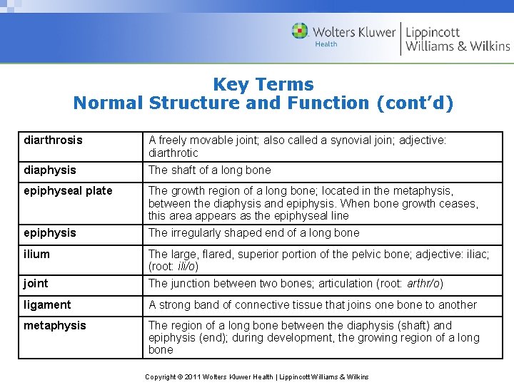 Key Terms Normal Structure and Function (cont’d) diarthrosis A freely movable joint; also called