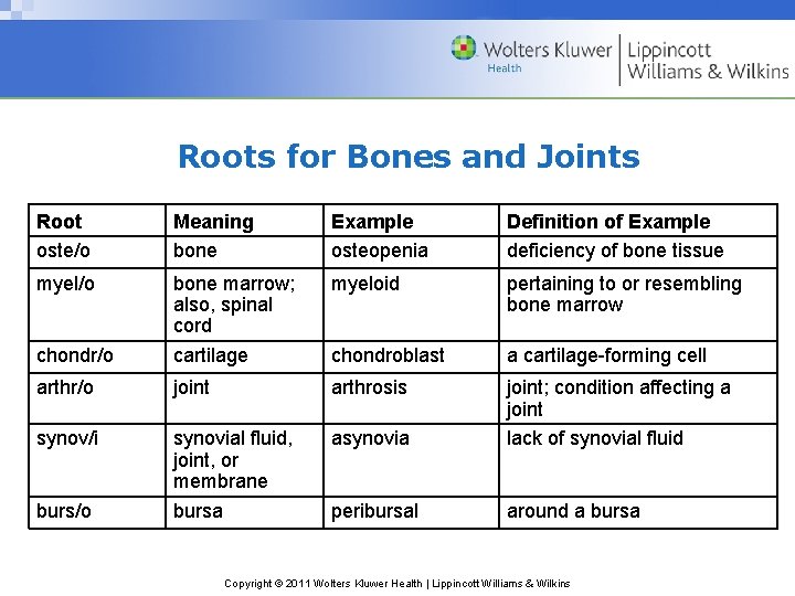 Roots for Bones and Joints Root oste/o Meaning bone Example osteopenia Definition of Example