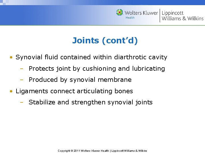 Joints (cont’d) • Synovial fluid contained within diarthrotic cavity – Protects joint by cushioning