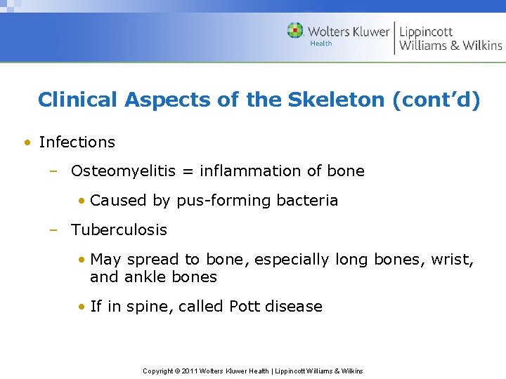 Clinical Aspects of the Skeleton (cont’d) • Infections – Osteomyelitis = inflammation of bone