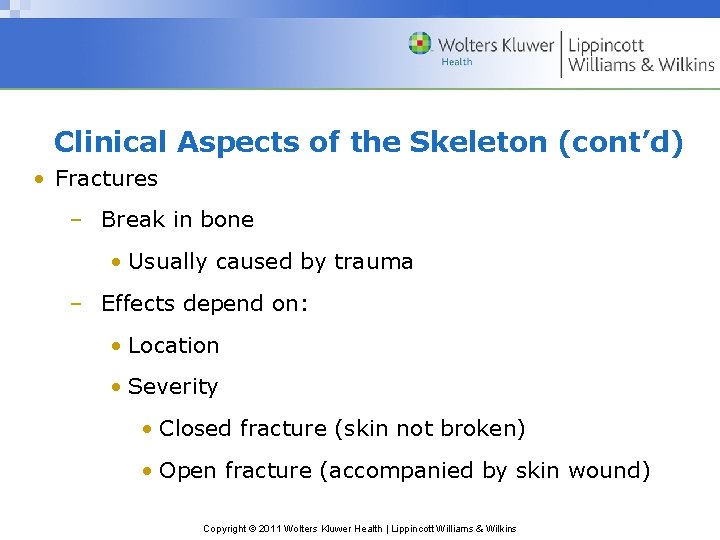 Clinical Aspects of the Skeleton (cont’d) • Fractures – Break in bone • Usually