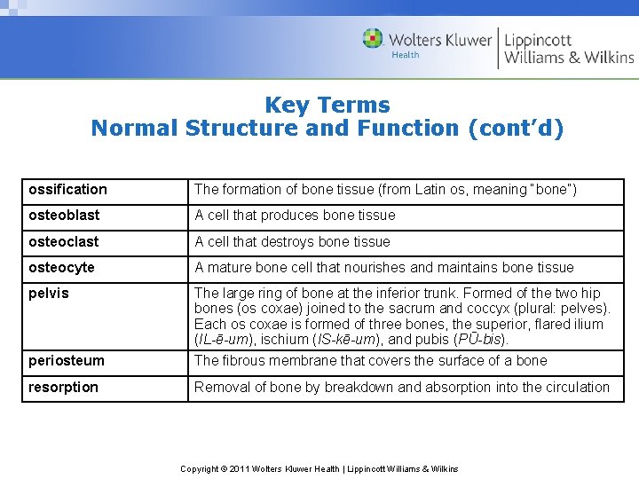 Key Terms Normal Structure and Function (cont’d) ossification The formation of bone tissue (from