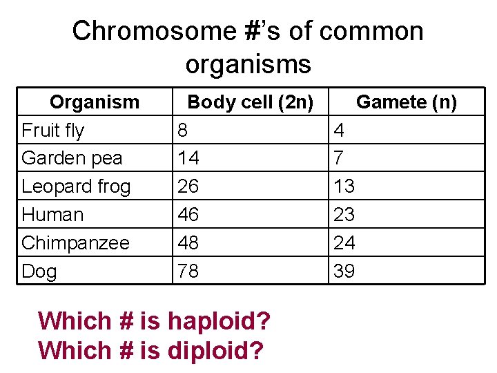Chromosome #’s of common organisms Organism Fruit fly Garden pea Leopard frog Human Chimpanzee