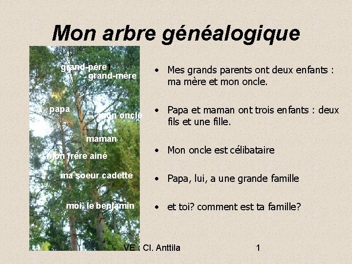 Mon arbre généalogique grand-père 1 grand-mère papa mon oncle maman • Mes grands parents