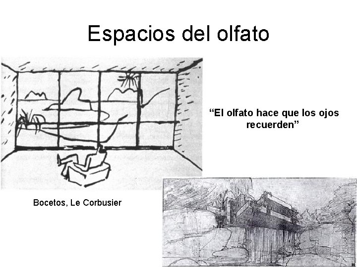 Espacios del olfato “El olfato hace que los ojos recuerden” Bocetos, Le Corbusier Espacios del olfato “El olfato hace que los ojos recuerden” Bocetos, Le Corbusier