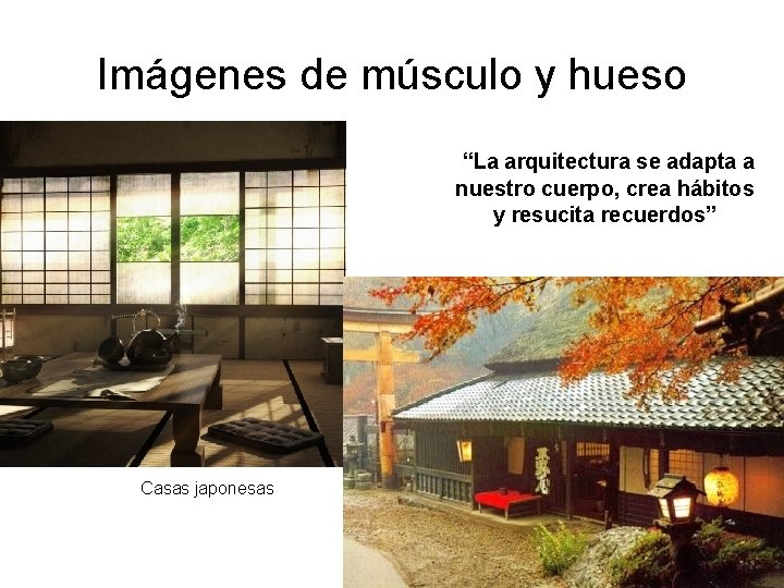 Imágenes de músculo y hueso “La arquitectura se adapta a nuestro cuerpo, crea hábitos Imágenes de músculo y hueso “La arquitectura se adapta a nuestro cuerpo, crea hábitos