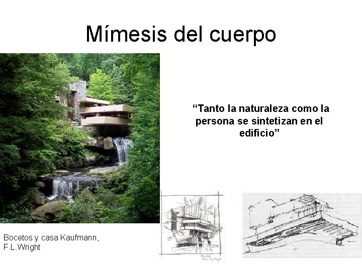Mímesis del cuerpo “Tanto la naturaleza como la persona se sintetizan en el edificio” Mímesis del cuerpo “Tanto la naturaleza como la persona se sintetizan en el edificio”