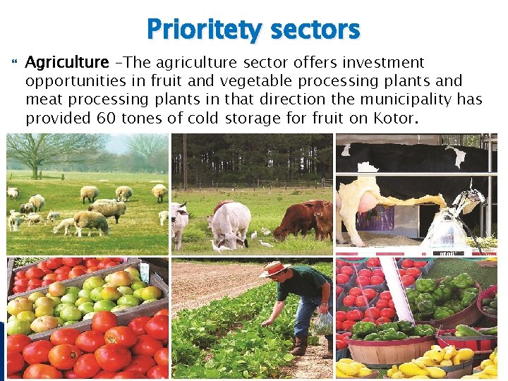 Prioritety sectors Agriculture -The agriculture sector offers investment opportunities in fruit and vegetable processing
