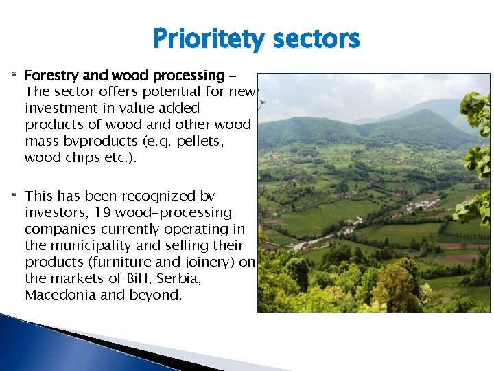Prioritety sectors Forestry and wood processing The sector offers potential for new investment in