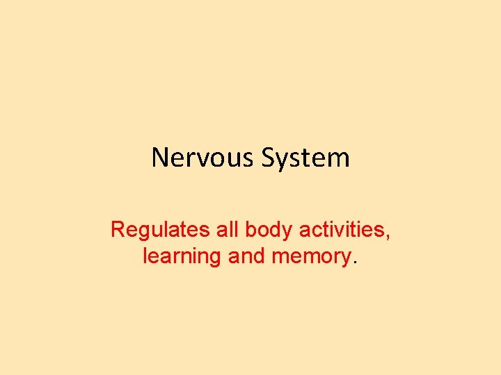 Nervous System Regulates all body activities, learning and memory. 
