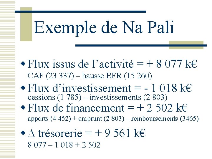 Exemple de Na Pali w Flux issus de l’activité = + 8 077 k€