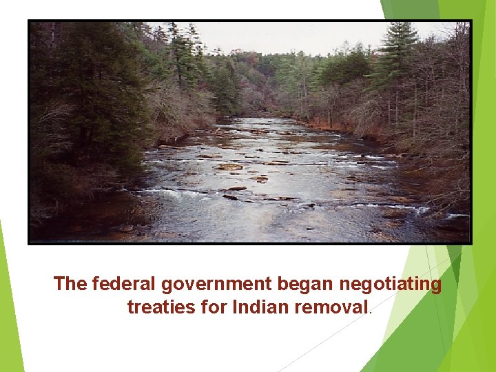 The federal government began negotiating treaties for Indian removal. 