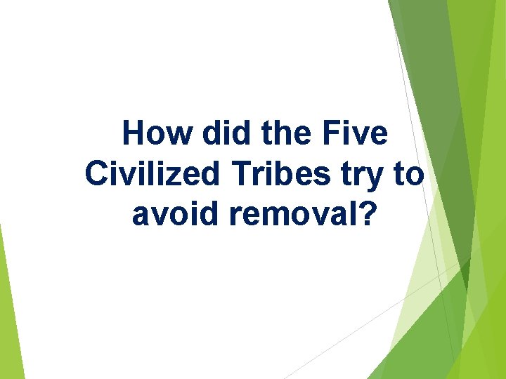 How did the Five Civilized Tribes try to avoid removal? 