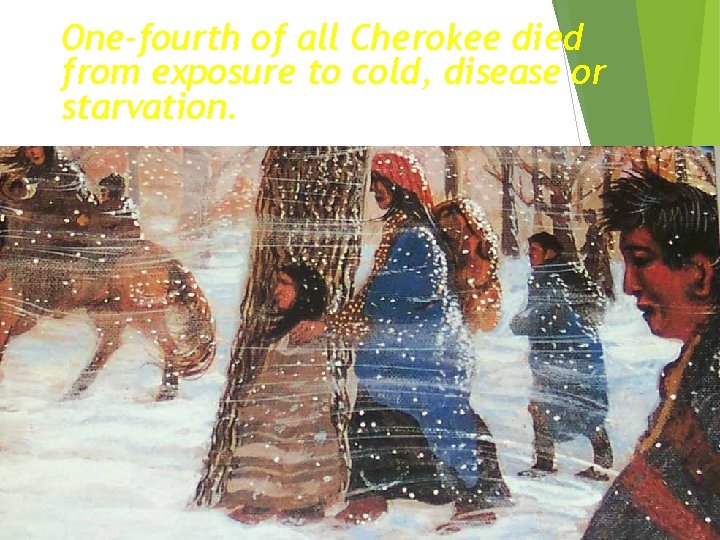 One-fourth of all Cherokee died from exposure to cold, disease or starvation. 