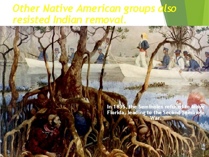 Other Native American groups also resisted Indian removal. In 1835, the Seminoles refused to