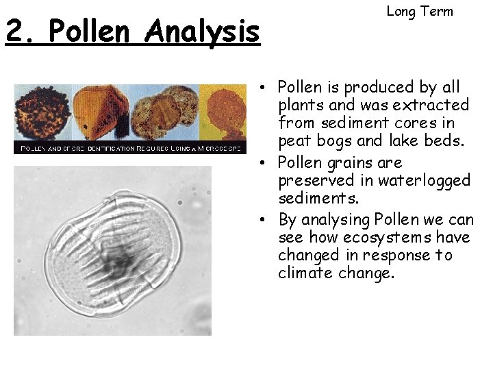 2. Pollen Analysis Long Term • Pollen is produced by all plants and was 2. Pollen Analysis Long Term • Pollen is produced by all plants and was