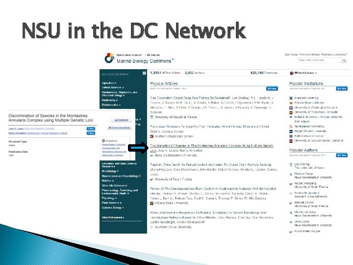 NSU in the DC Network 