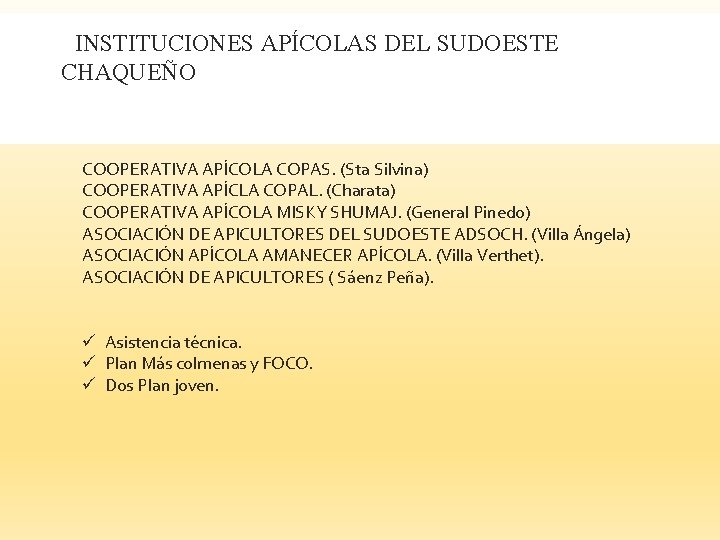 Asociación apícola Sáenz Peña IIINSTITUCIONES APÍCOLAS DEL SUDOESTE CHAQUEÑO COOPERATIVA APÍCOLA COPAS. (Sta Silvina)