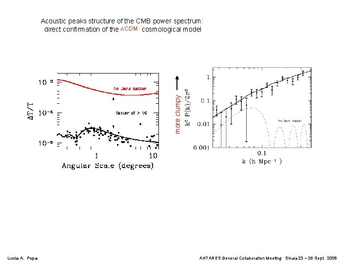 more clumpy Acoustic peaks structure of the CMB power spectrum: direct confirmation of the