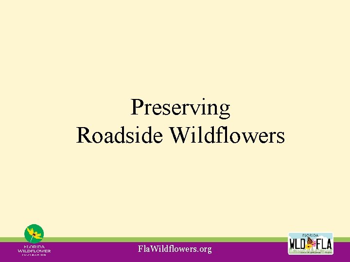 Preserving Roadside Wildflowers Fla. Wildflowers. org 