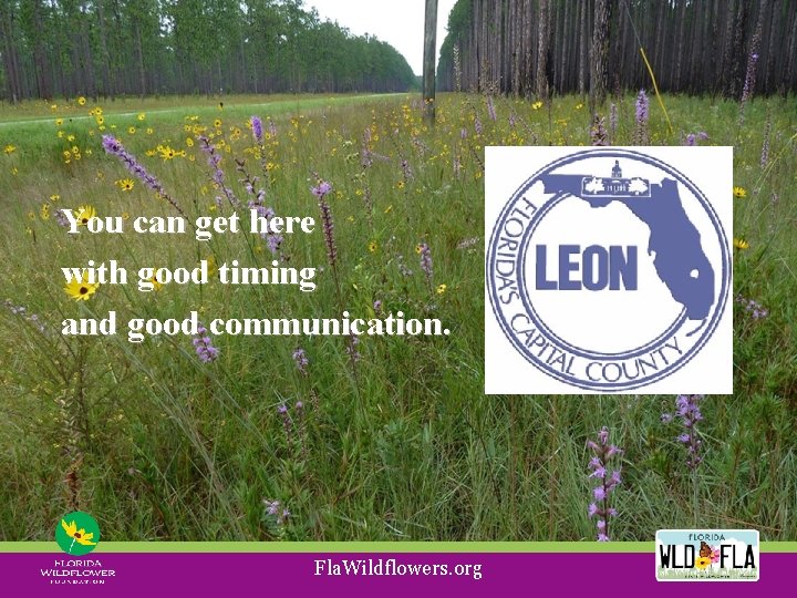 You can get here with good timing and good communication. Fla. Wildflowers. org 