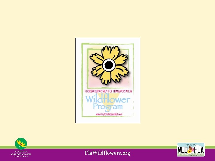 Fla. Wildflowers. org 