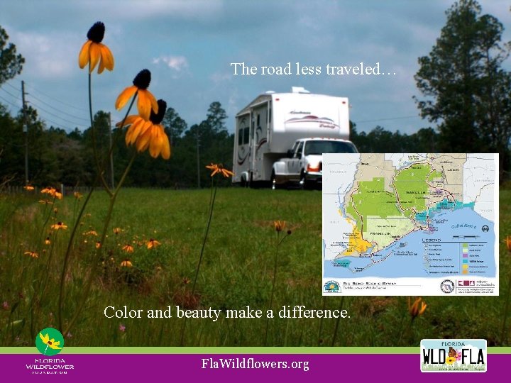 The road less traveled… Color and beauty make a difference. Fla. Wildflowers. org 