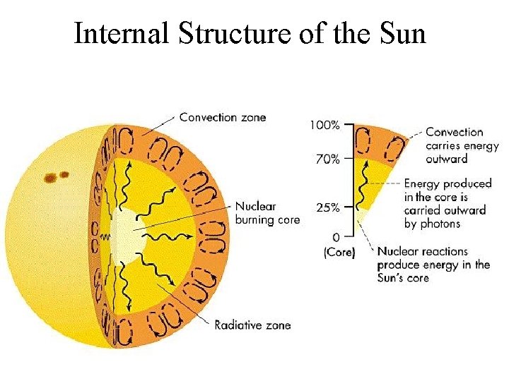 Internal Structure of the Sun 