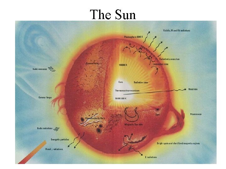 The Sun 