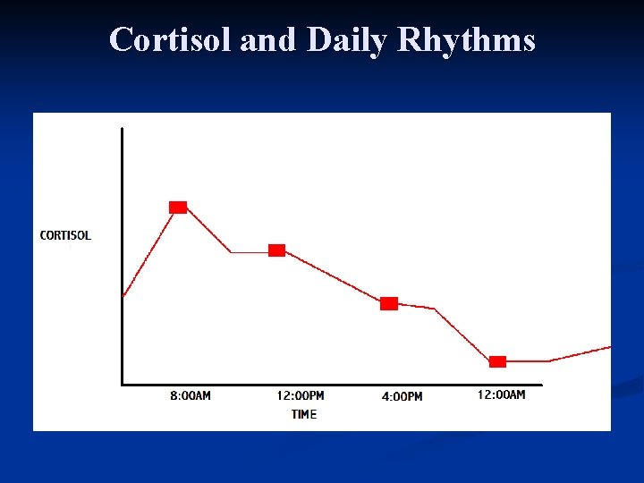 Cortisol and Daily Rhythms 