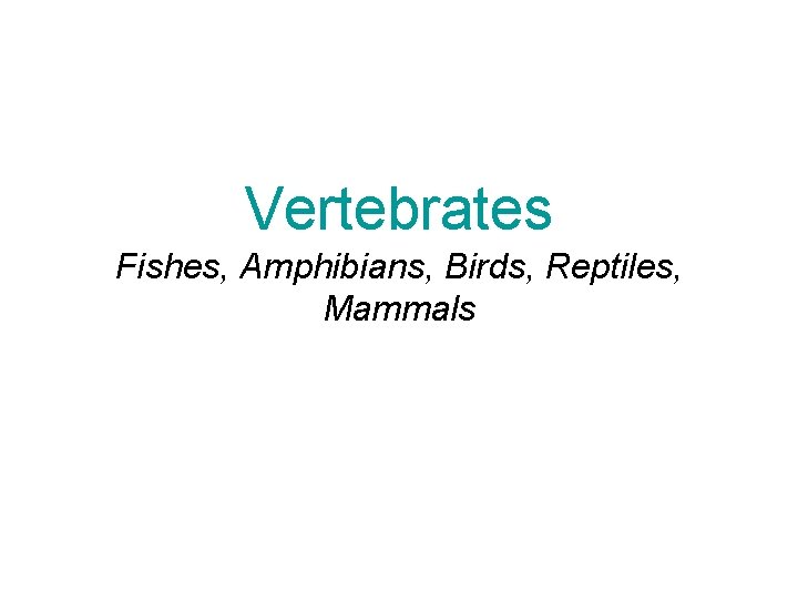 Vertebrates Fishes, Amphibians, Birds, Reptiles, Mammals 